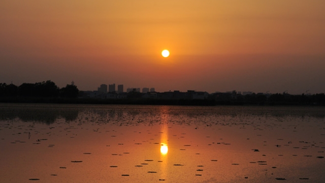 龍湖夕照