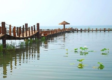 春末夏初去玩水 上海周邊自駕看海攻略